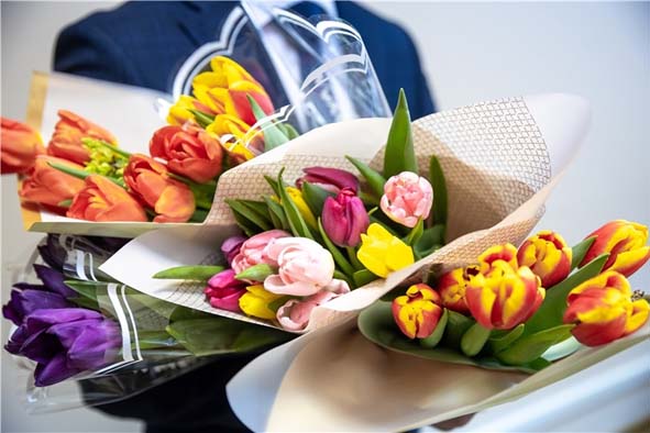 Анне, анне, аннеçĕм