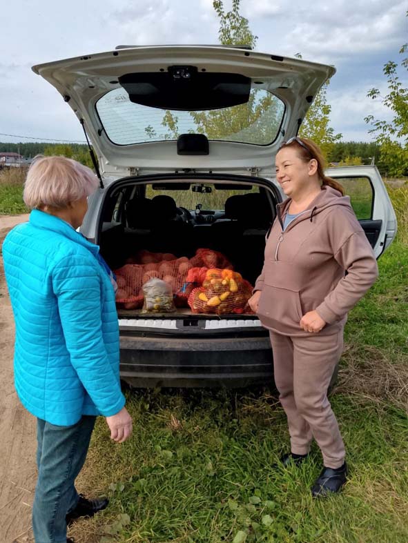 Овощи  для заготовок