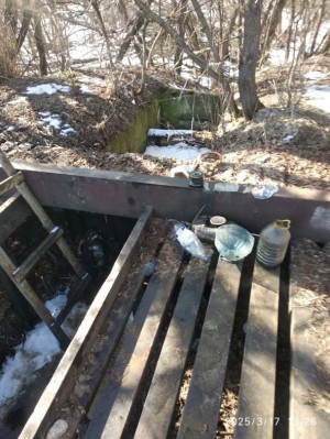photo 2025 03 19 08 16 06