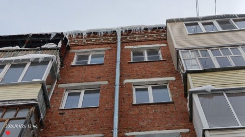 photo 2026 01 28 09 34 41 1024x576