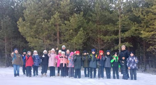 Прогулка по зимнему лесу