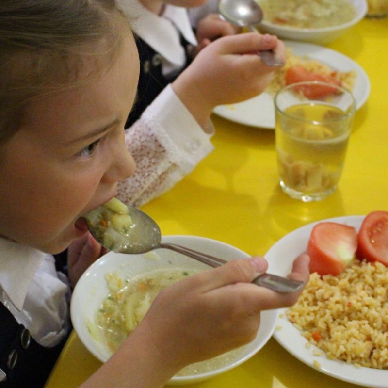 Питание школьников из многодетных семей